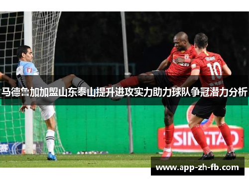 马德鲁加加盟山东泰山提升进攻实力助力球队争冠潜力分析