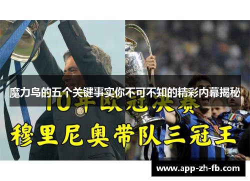 魔力鸟的五个关键事实你不可不知的精彩内幕揭秘