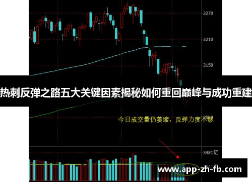 热刺反弹之路五大关键因素揭秘如何重回巅峰与成功重建