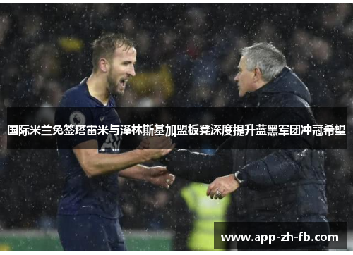 国际米兰免签塔雷米与泽林斯基加盟板凳深度提升蓝黑军团冲冠希望